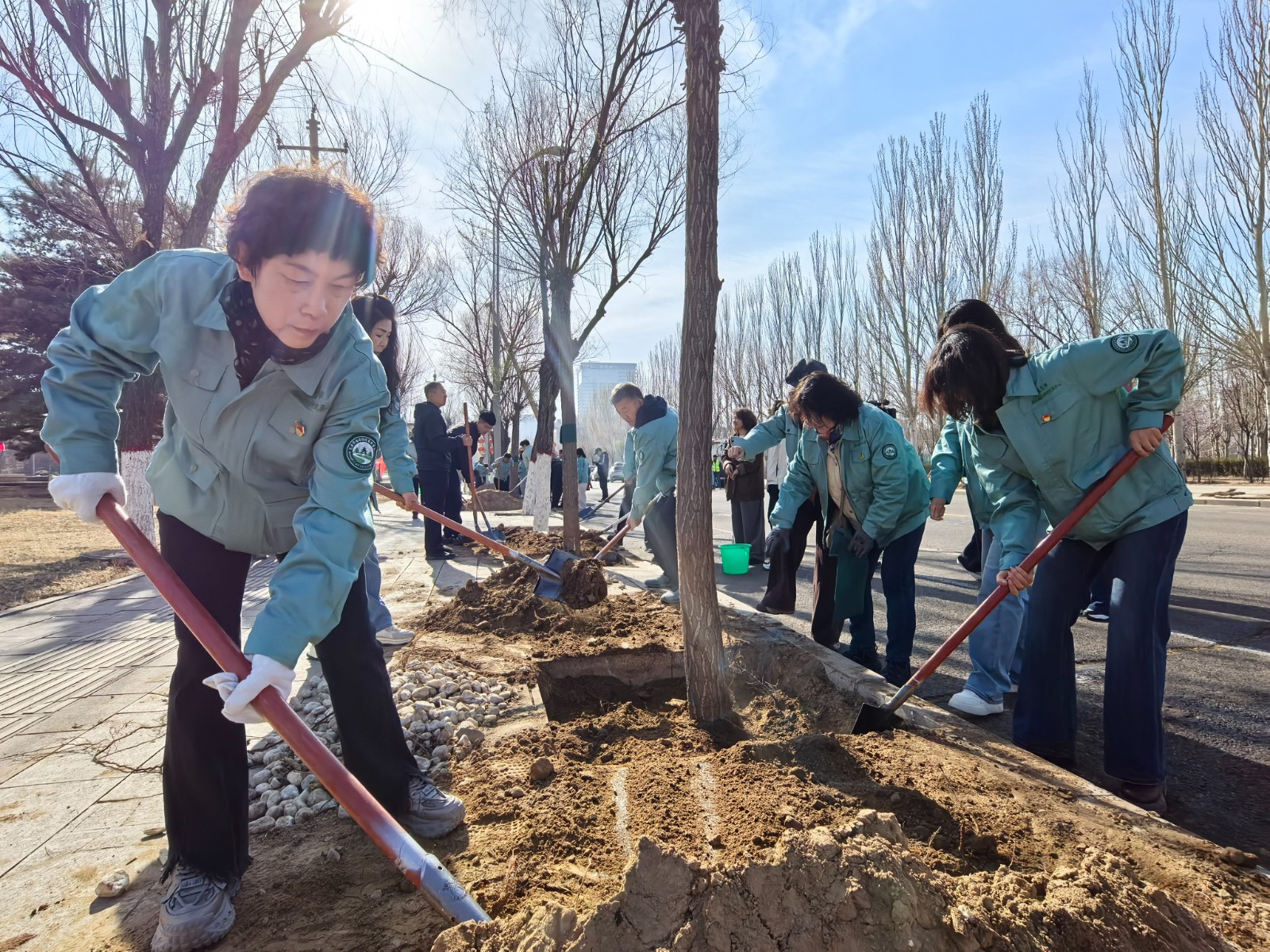 （配图）“植”此青绿