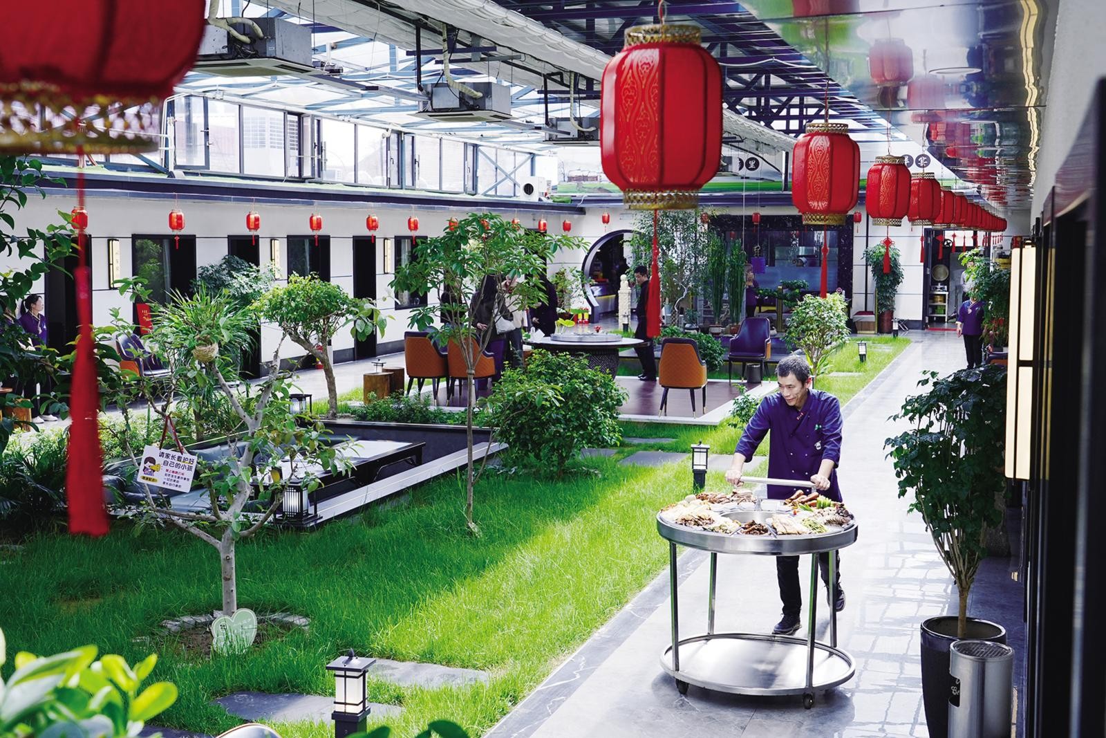 生机盎然的美食小院