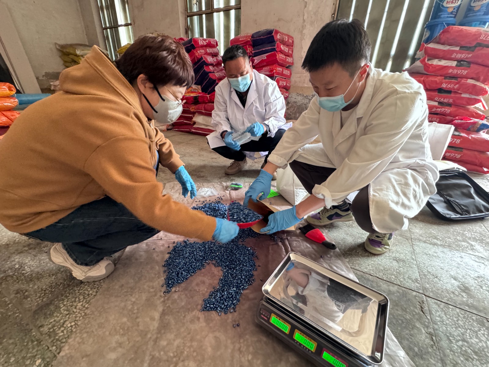 严选“一粒种”