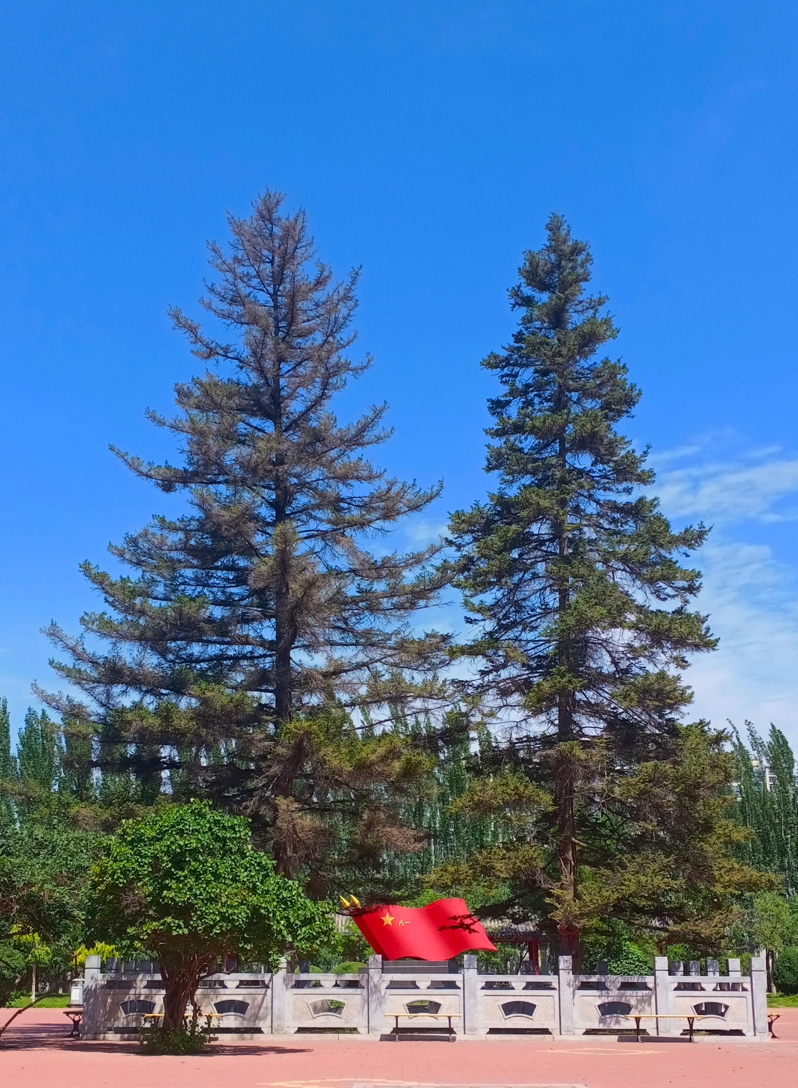 微信图片_2026-04-12_091022_920