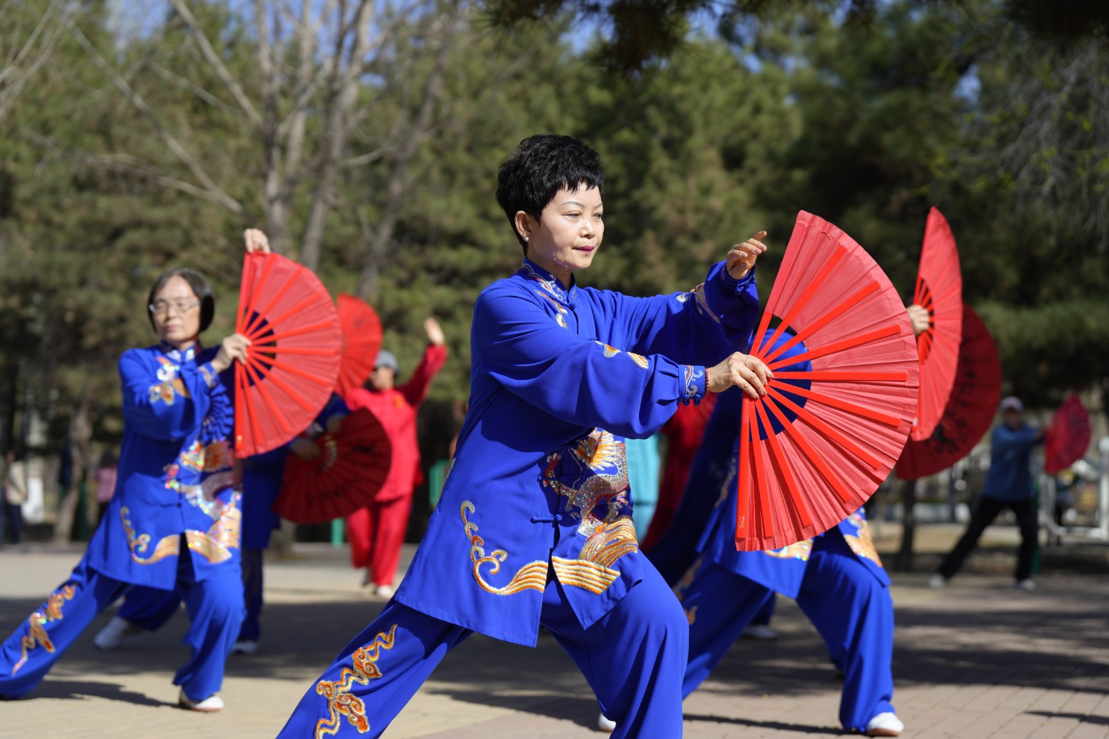 14(6809388)-20260413173154