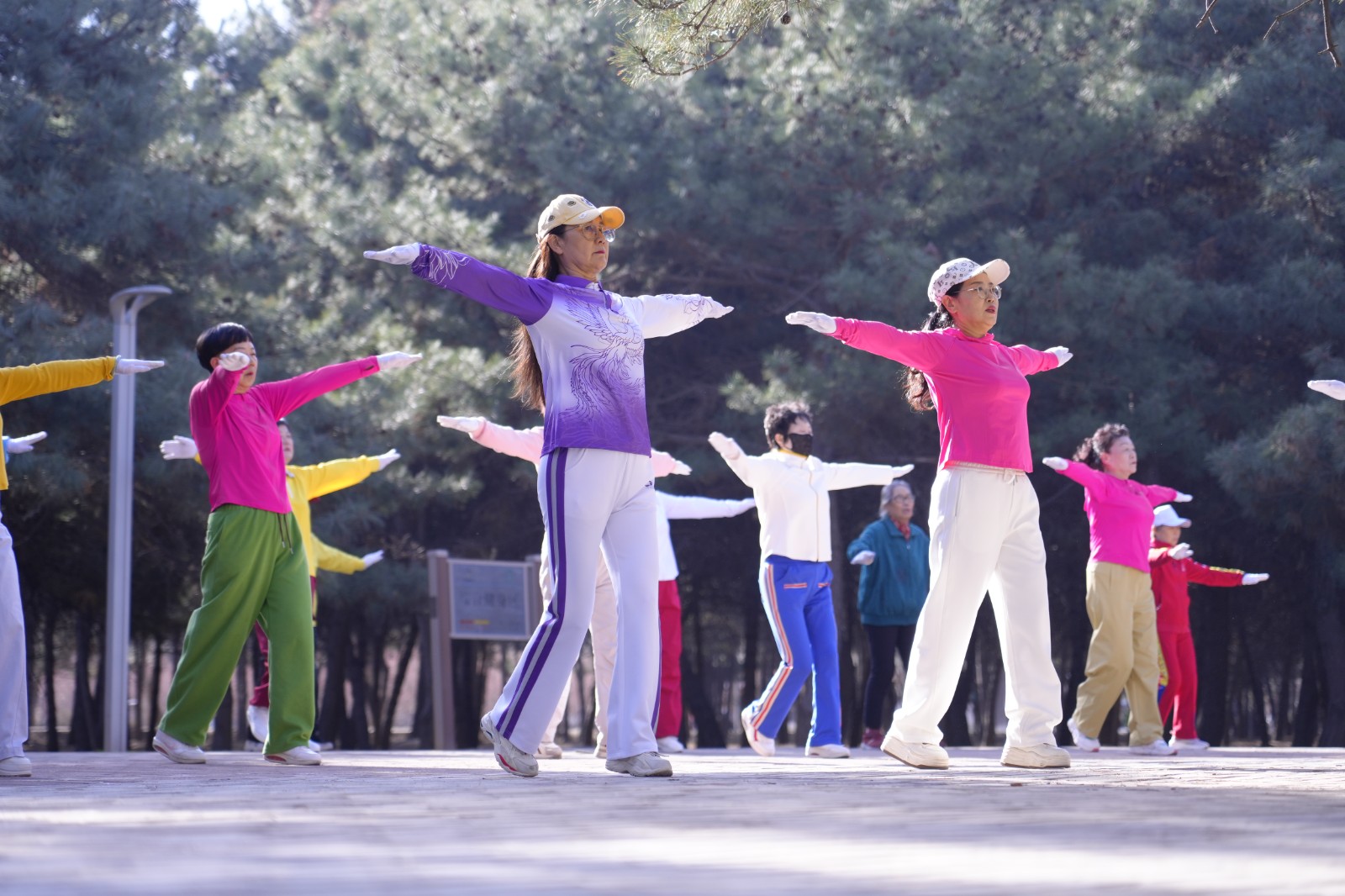 15(6809382)-20260413173123