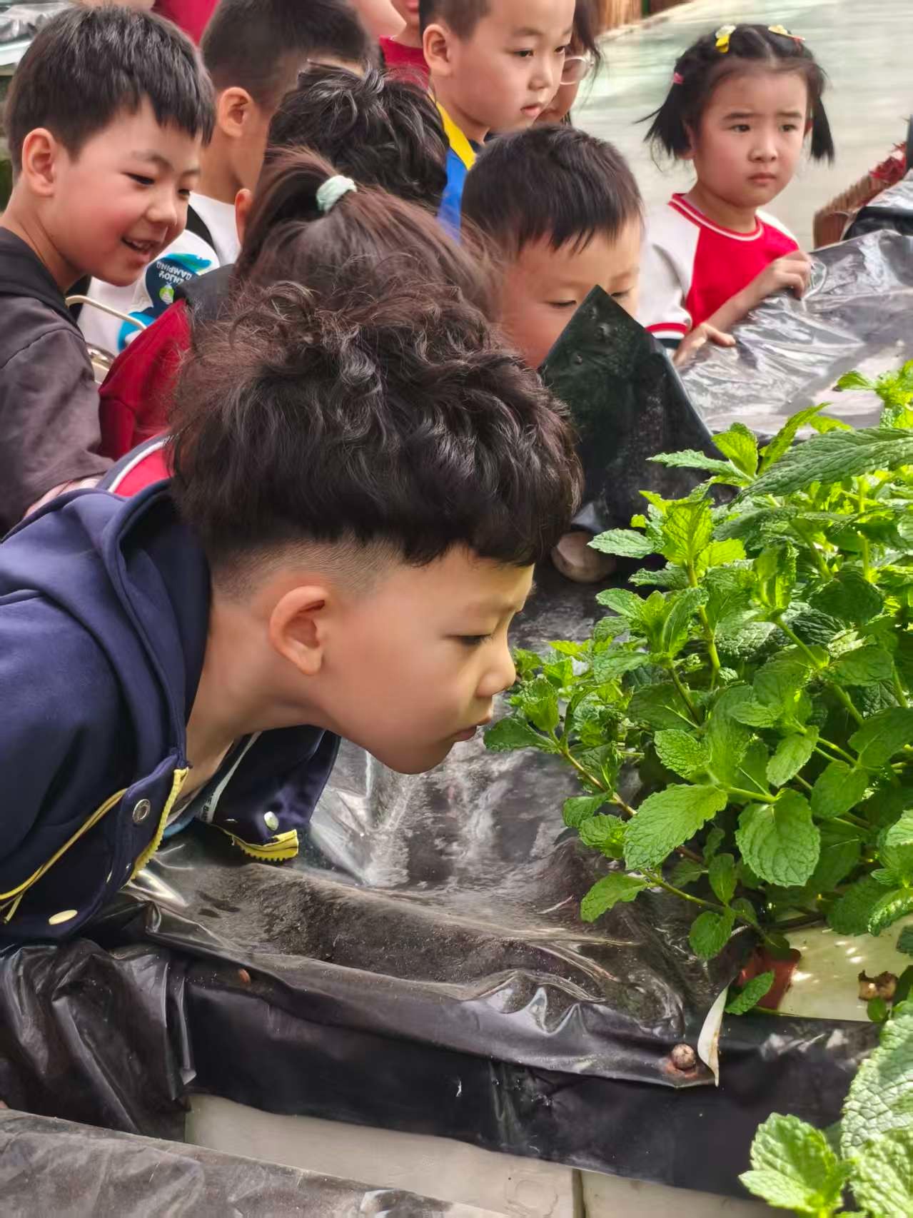 头条配图1(6817568)-20260414163721