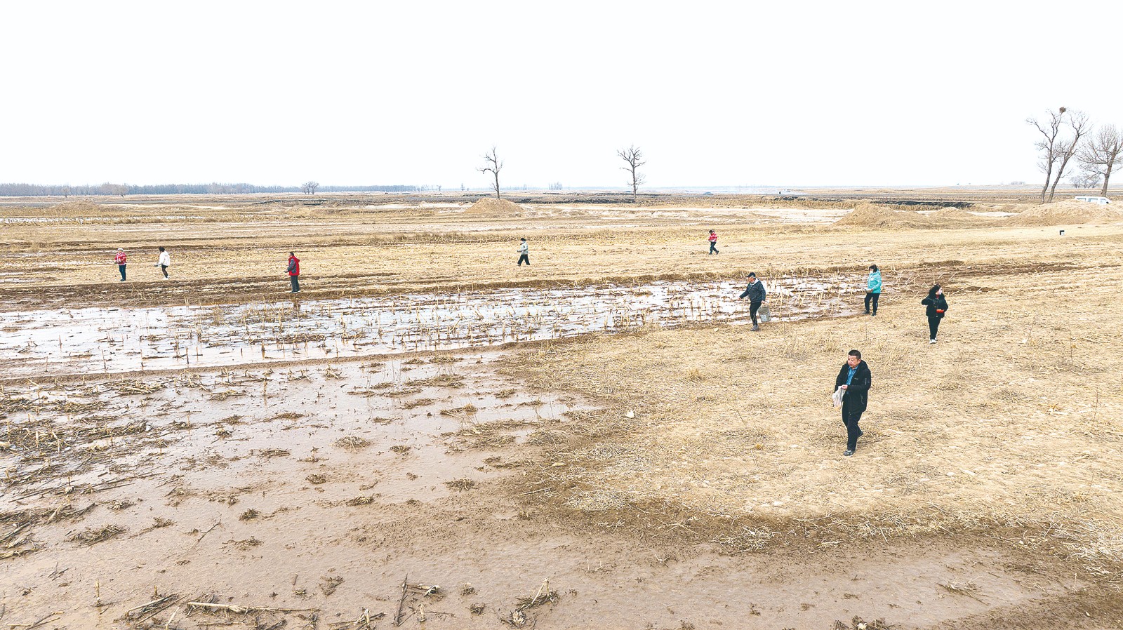 温暖的候鸟驿站,土右旗明沙淖乡西杨家圪堵(6819380)-20260415093718
