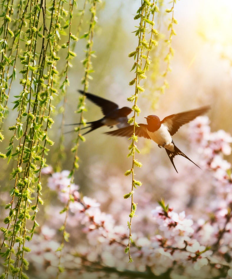 ScreenShot_2026-04-19_103428_853