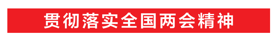 贯彻落实全国两会精神
