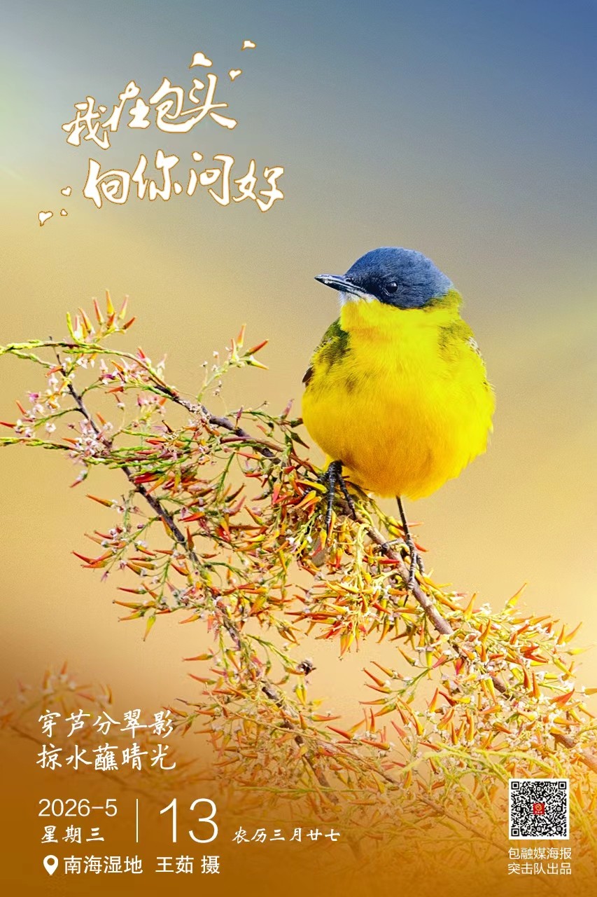 387f8207fb0bee656b37758d8123dd5e