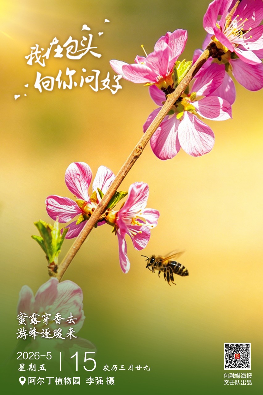 微信图片_20260514170203_205_70