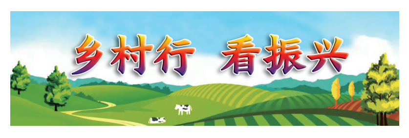 乡村行
