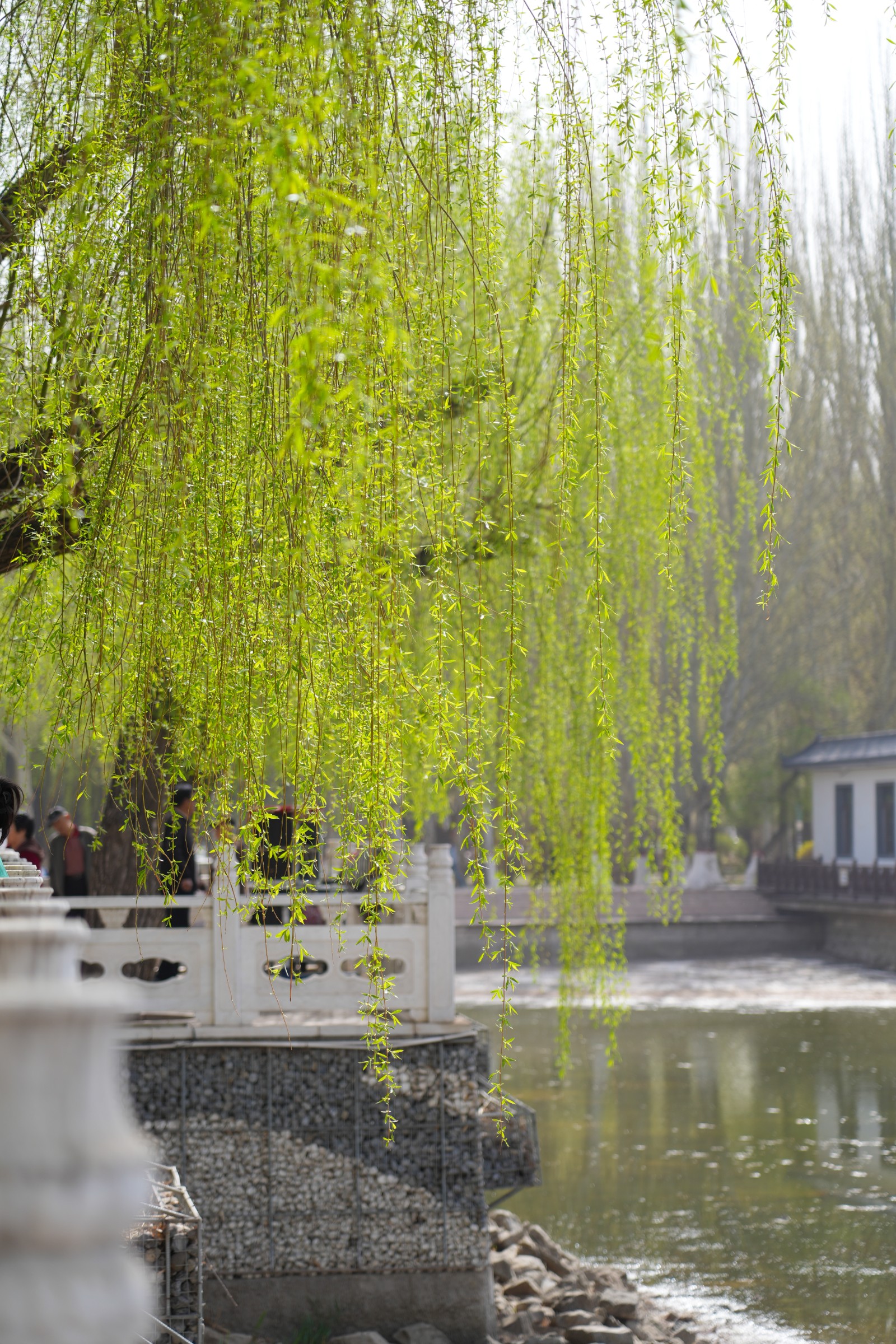 微信图片_20260415103116_(6832937)-20260419091851