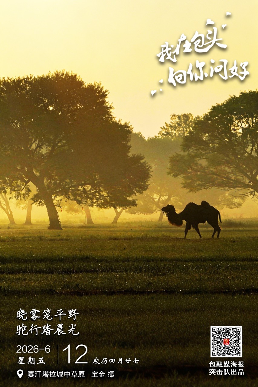 微信图片_20260611170203_38_34