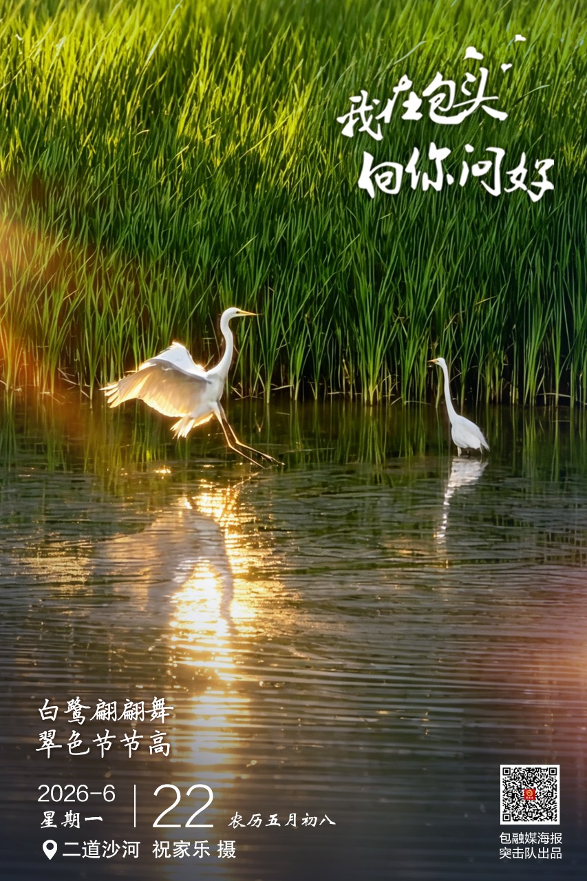 微信图片_20260621183832_404_72