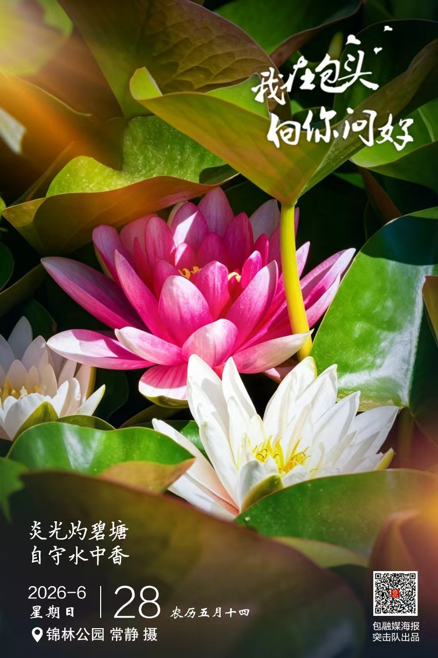 微信图片_20260627094411_142_96