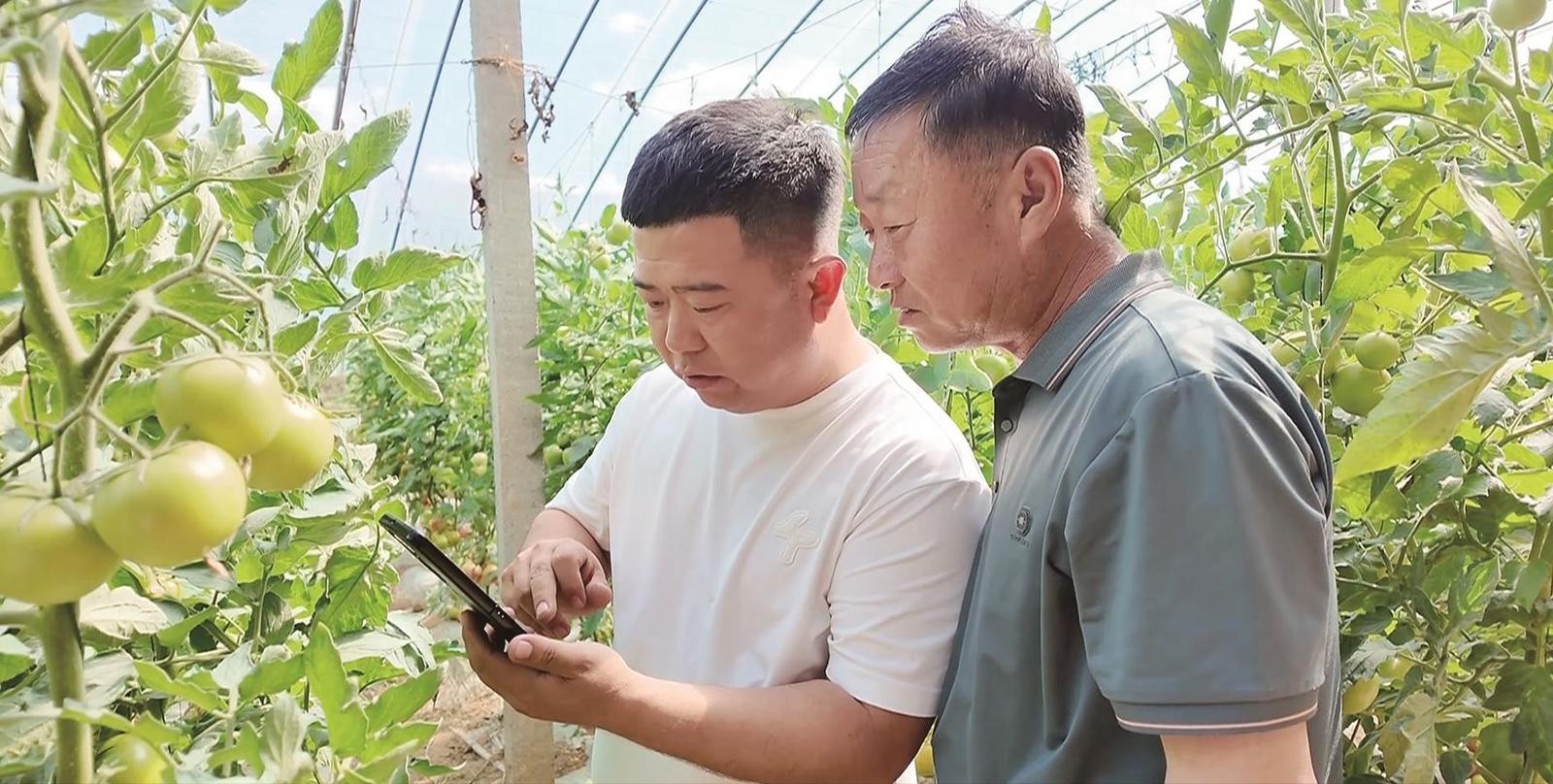 和村里的工作人员一起探讨拍视频。
