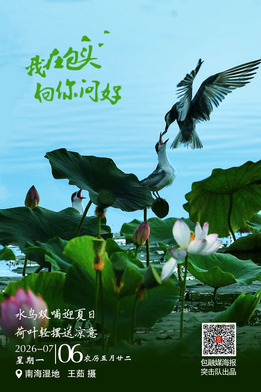 微信图片_20260705073654_499_72