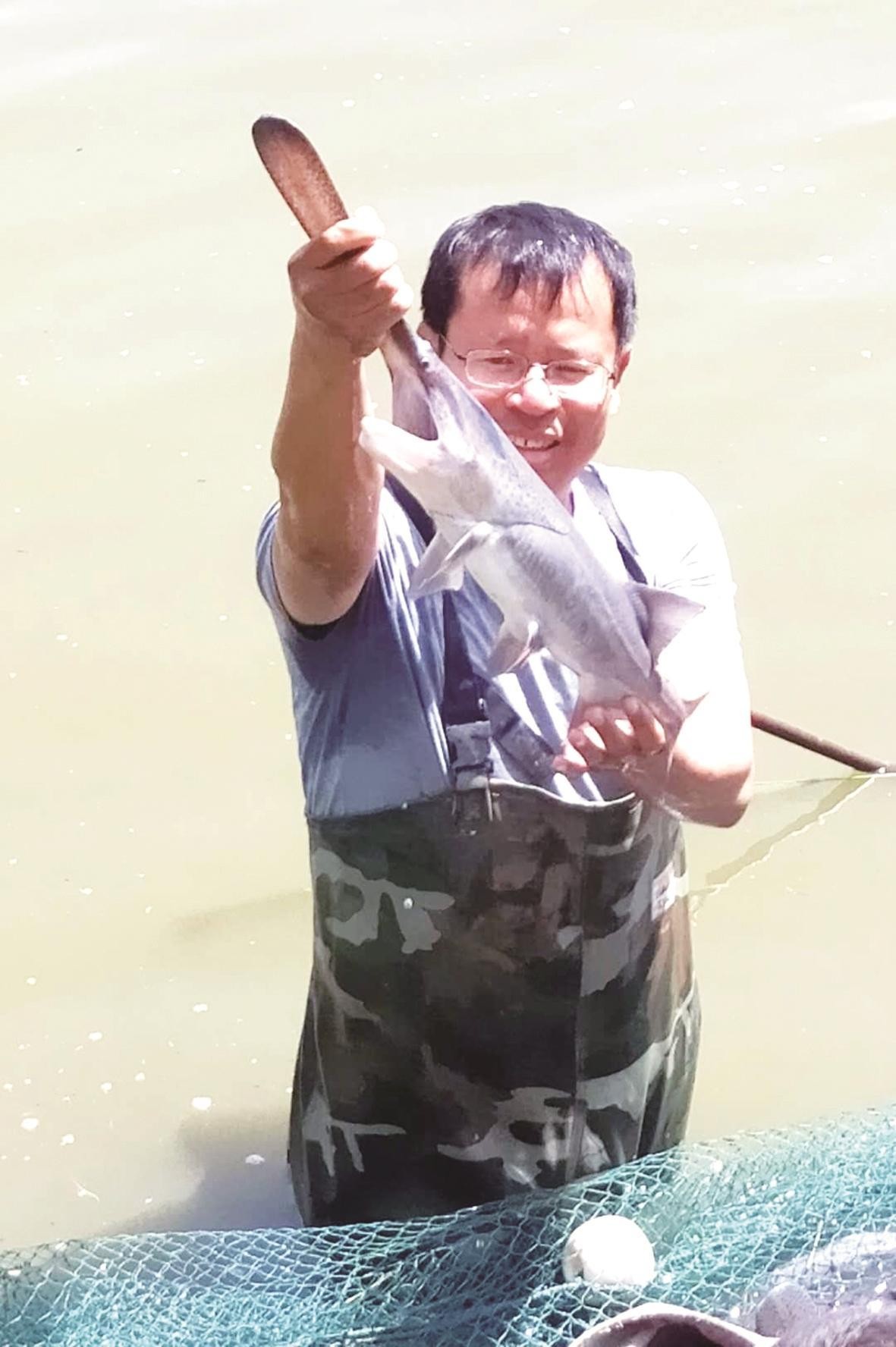 贺心康