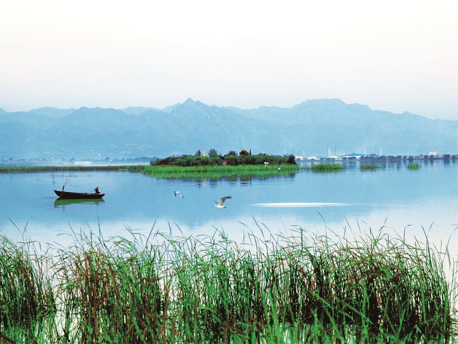南海湿地561232