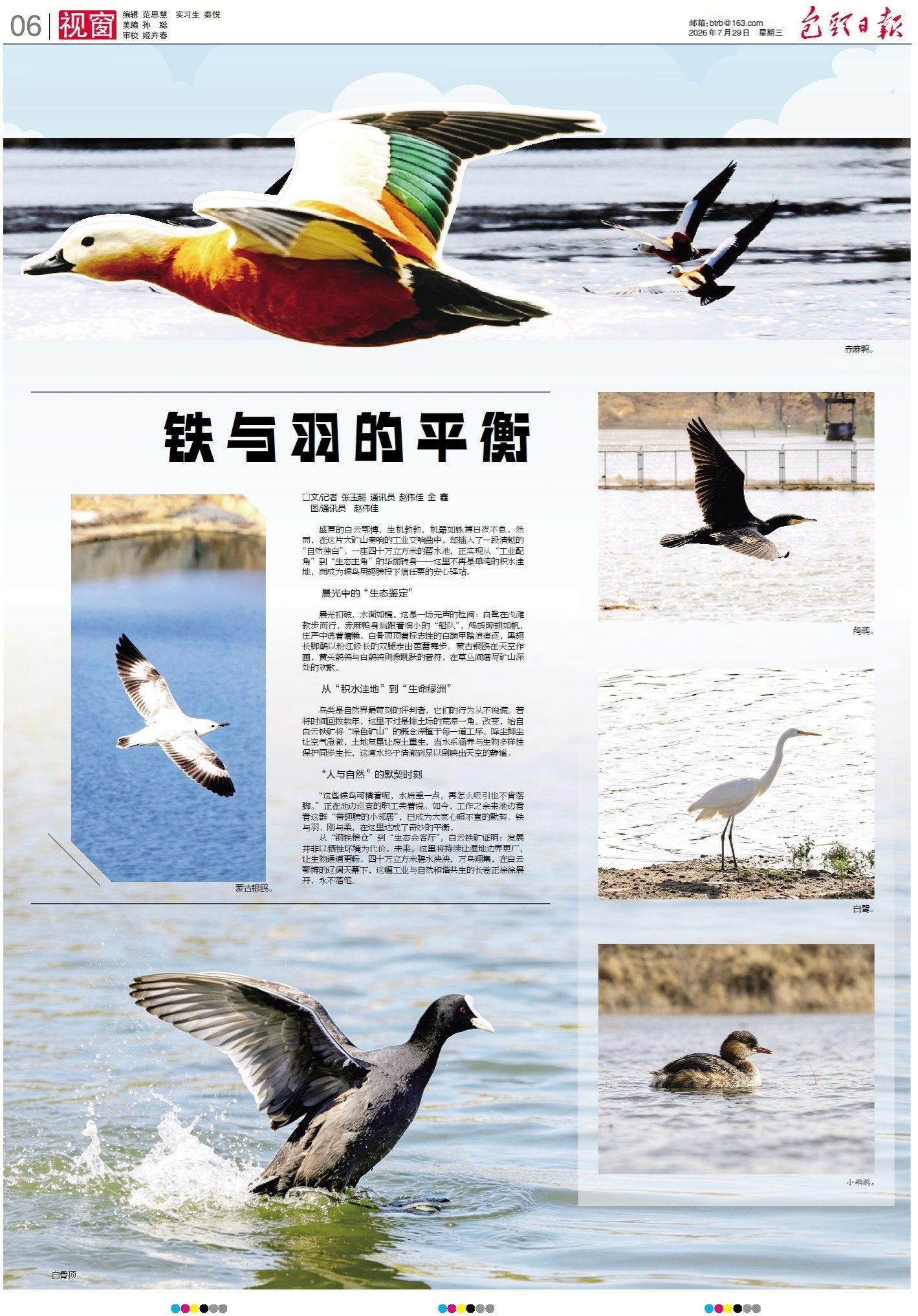 羽毛(1)