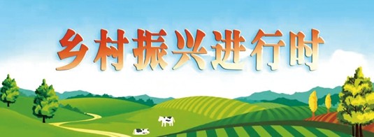 乡村振兴进行时_副本