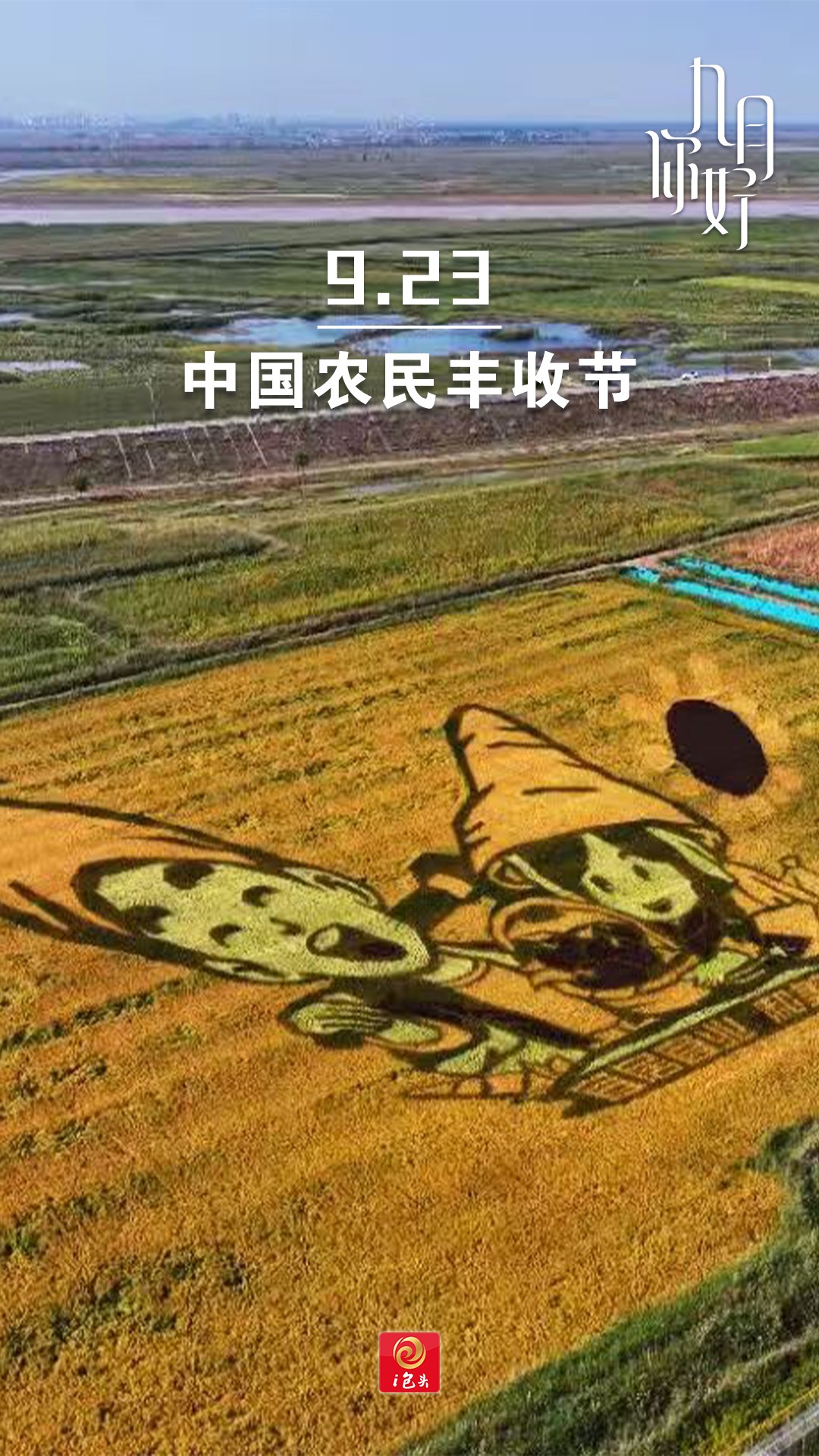 丰收节