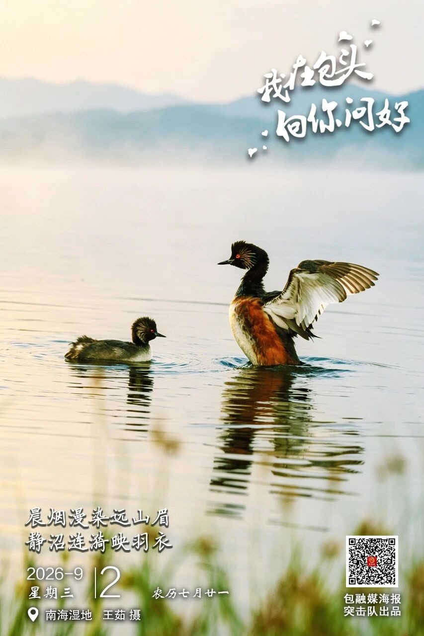 微信图片_2026-09-02_074355_815
