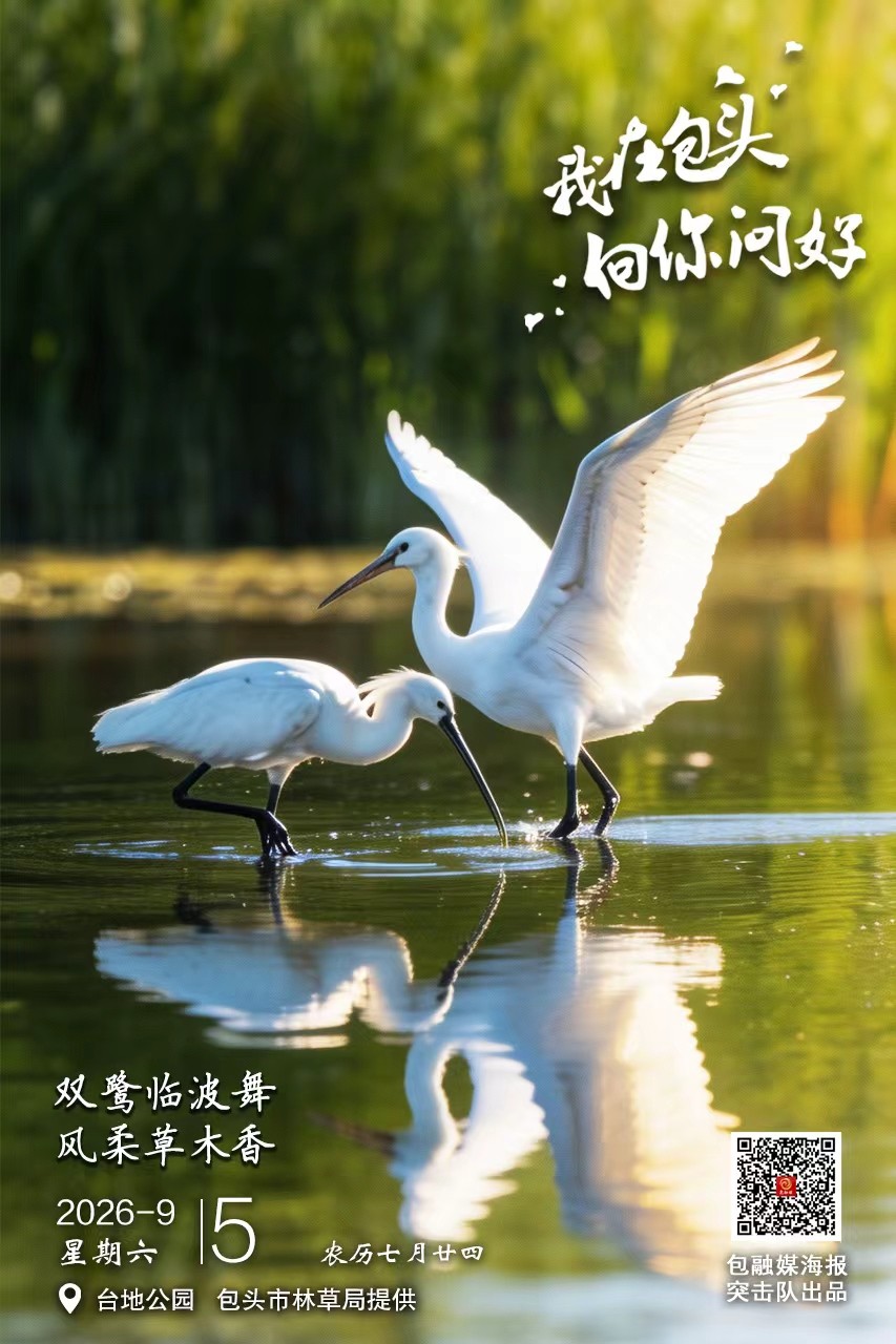 微信图片_20260905074549