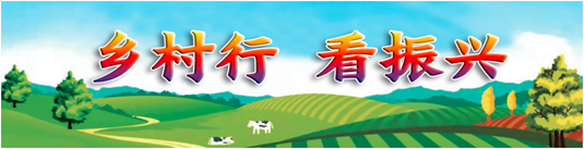 乡村行