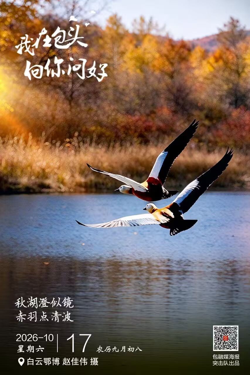 微信图片_20261017083248_2_2