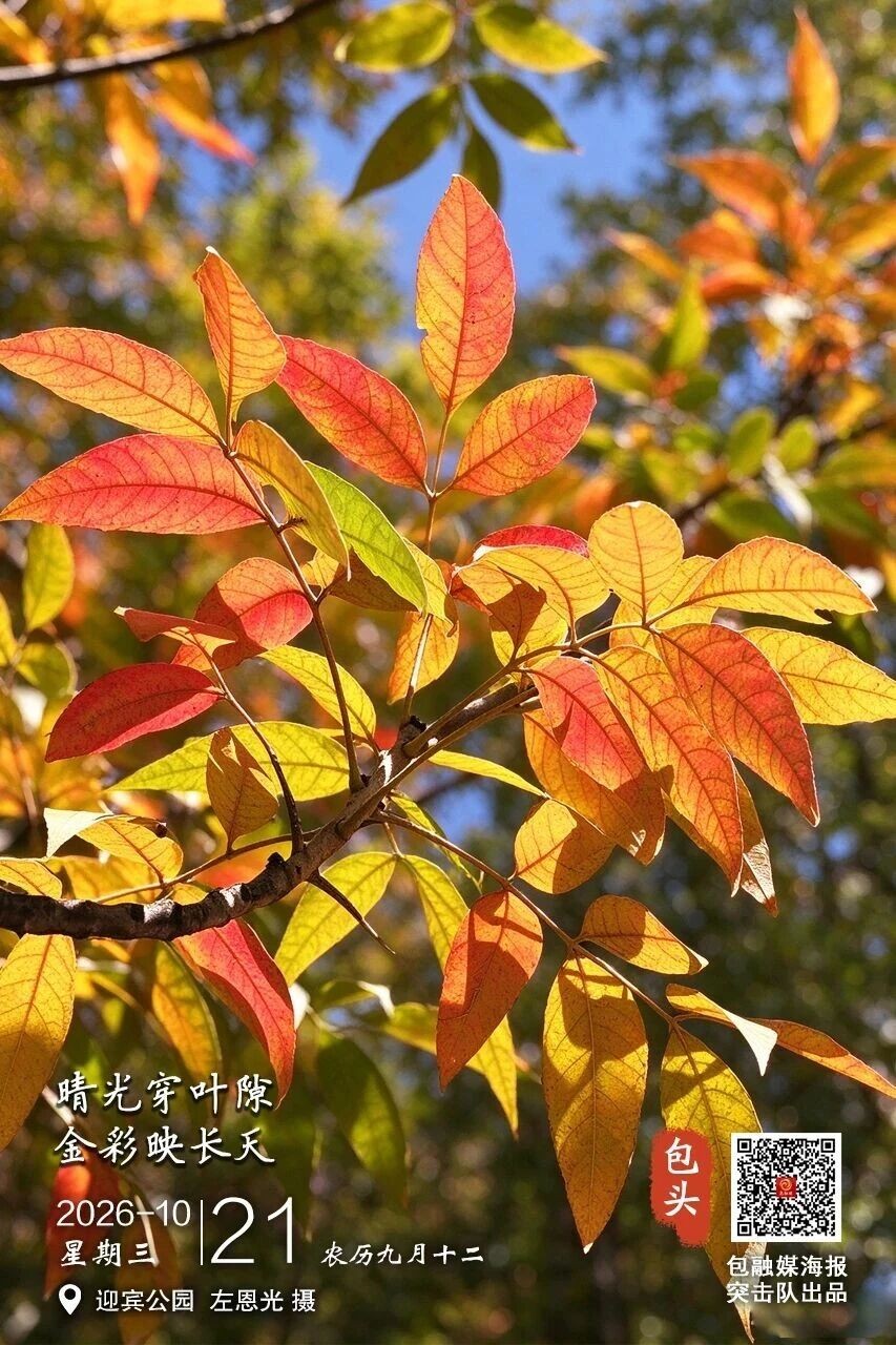 微信图片_2026-10-21_081641_011