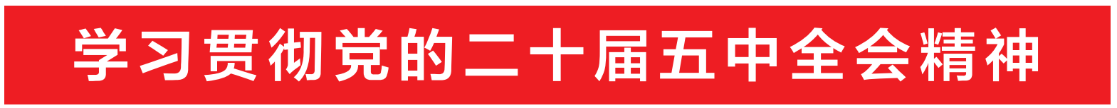 学习贯彻党的二十届五中全会精神（2026）
