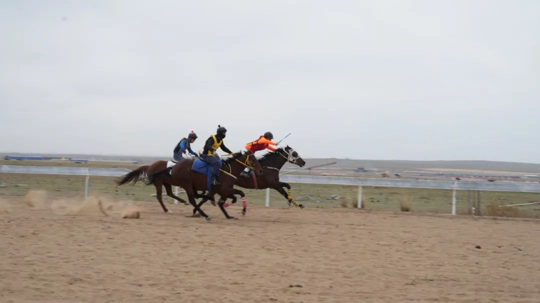 DSC01528-oi3613136333.jpg