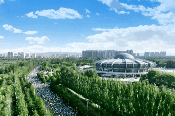 马拉松.gif