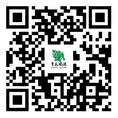 f3214d81646b614cbeaccf0cc72d5cb.png