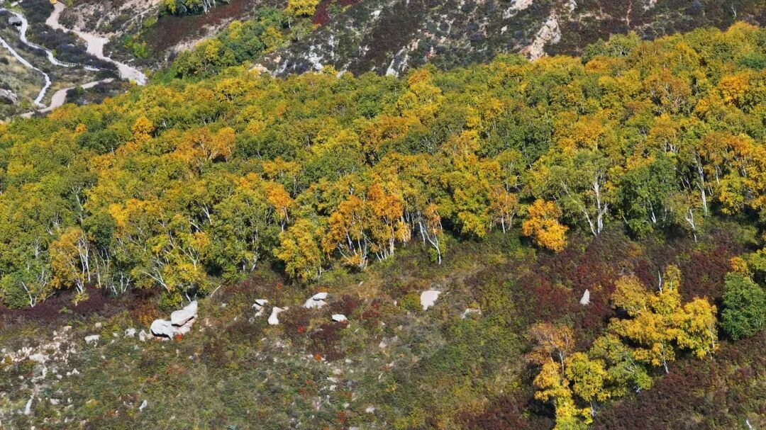 DJI_20250924142124_0(5586521)-20250928102356.JPG