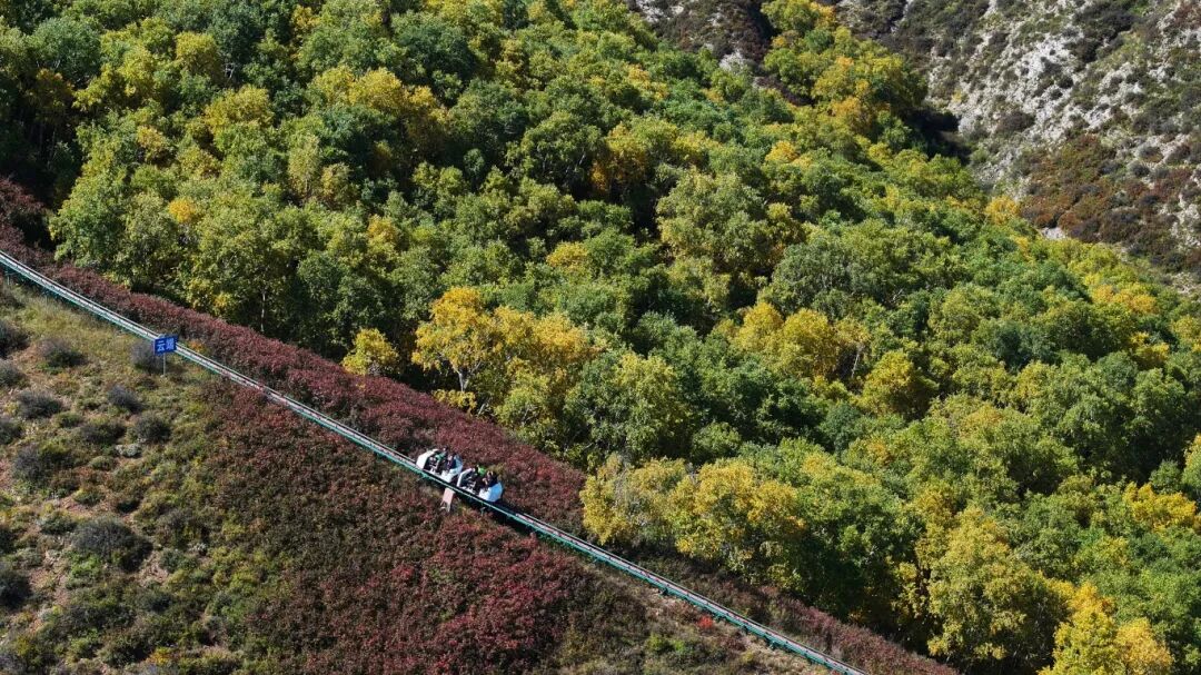 DJI_20250924112407_0(5586516)-20250928102345.JPG