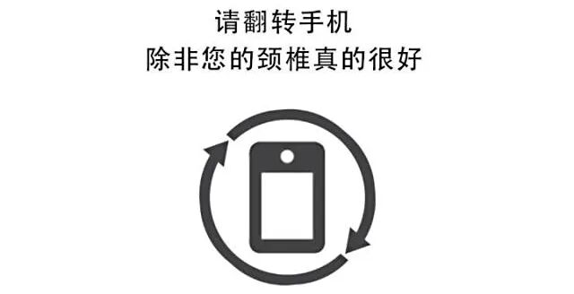 d546439 拷贝.jpg