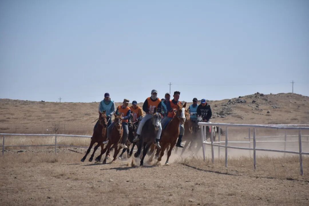 DSC_0465.JPG