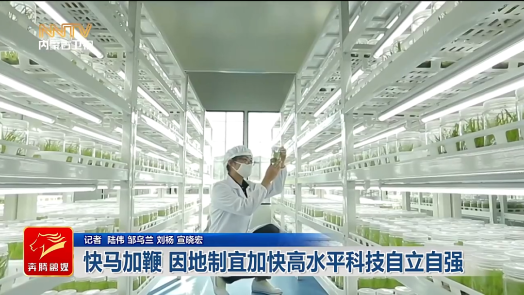 视频截图
