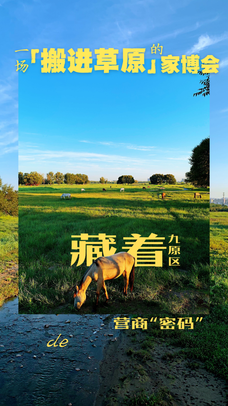一场.png