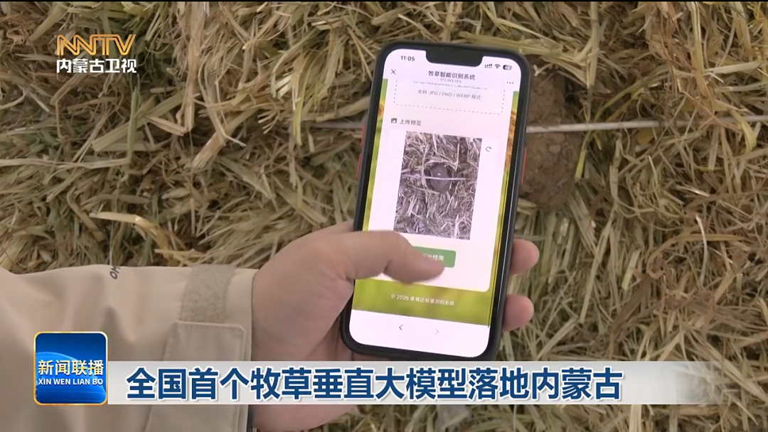 视频截图