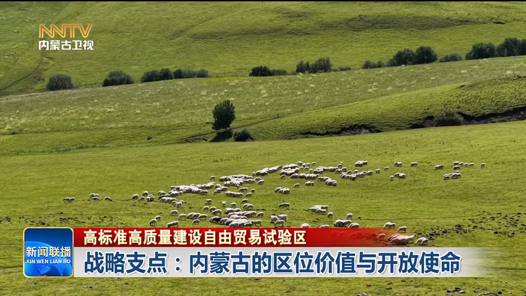 视频截图
