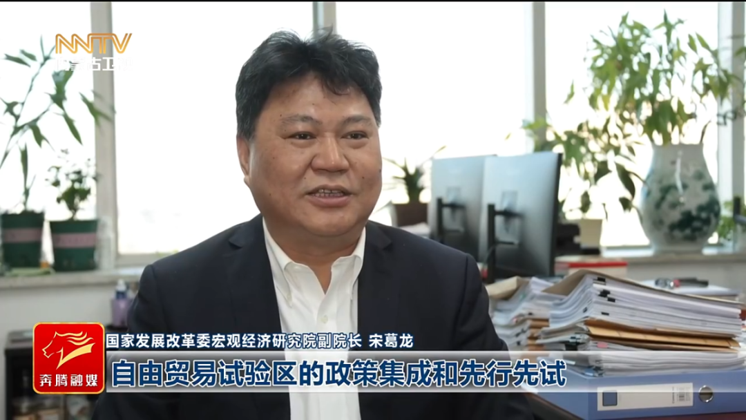 视频截图