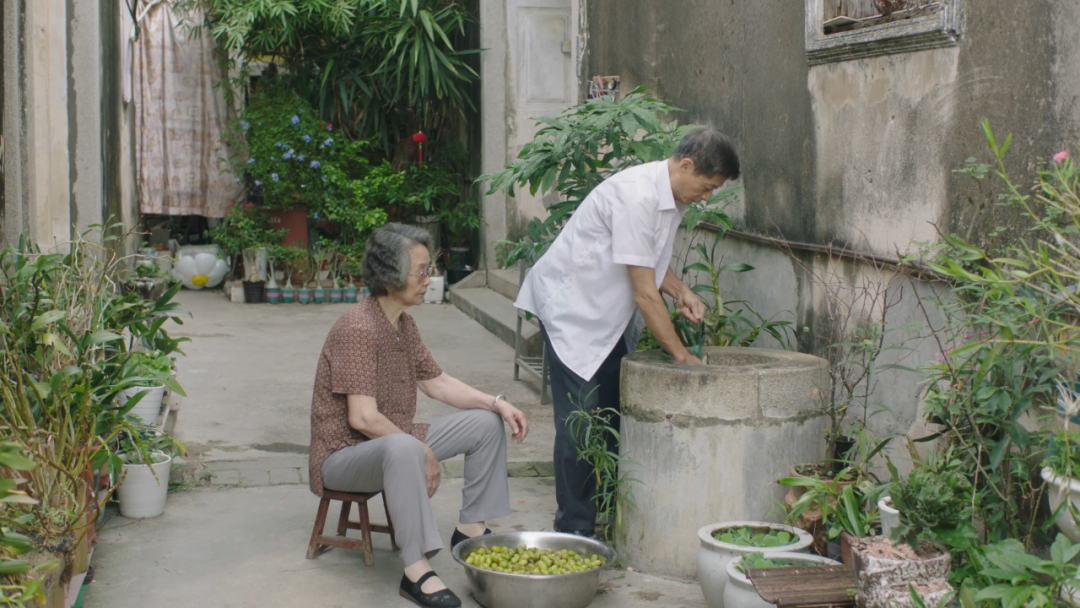 阿嬷洗橄榄.png