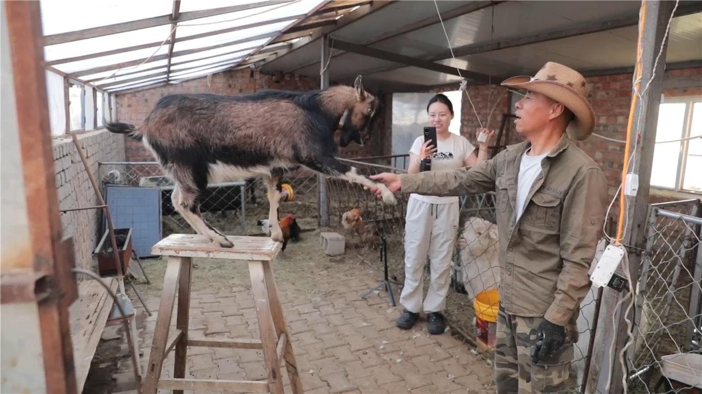 无效路径