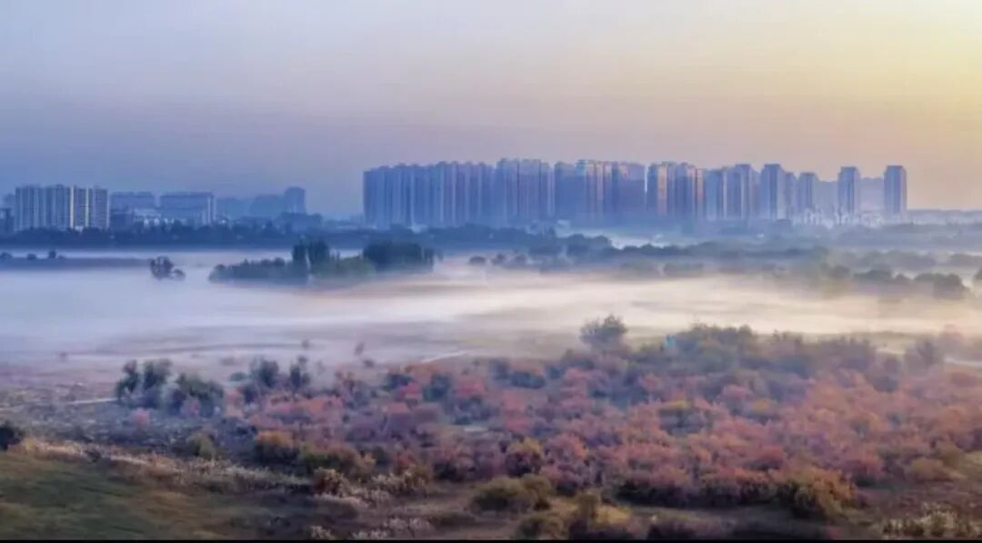 微信图片_20260610103416_1521_23.jpg