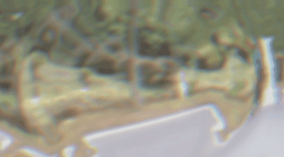 至3.gif