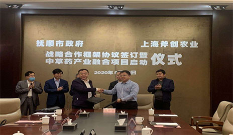 未标题-1.jpg 未标题-1.jpg