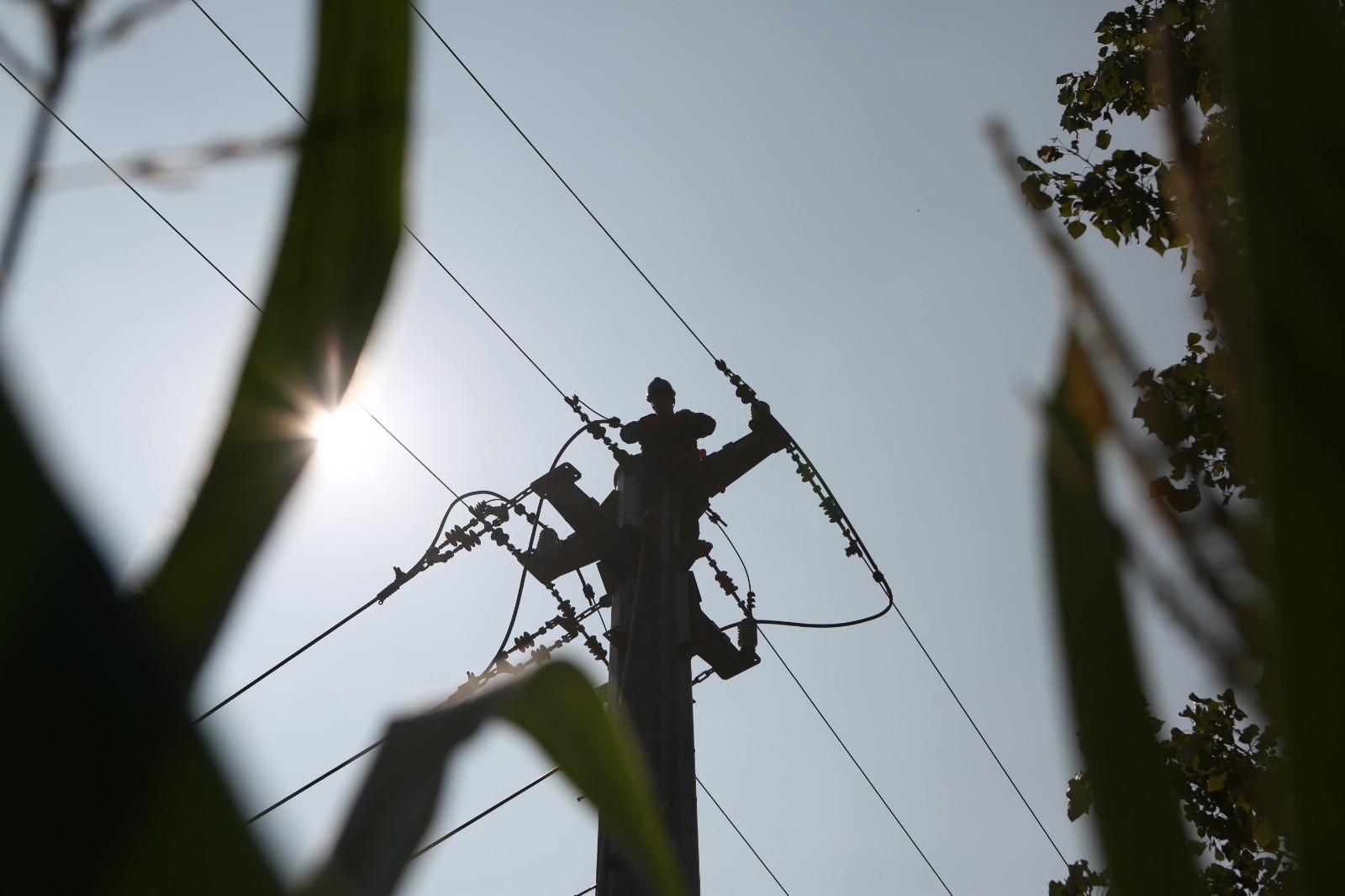 微信图片_20231009112711