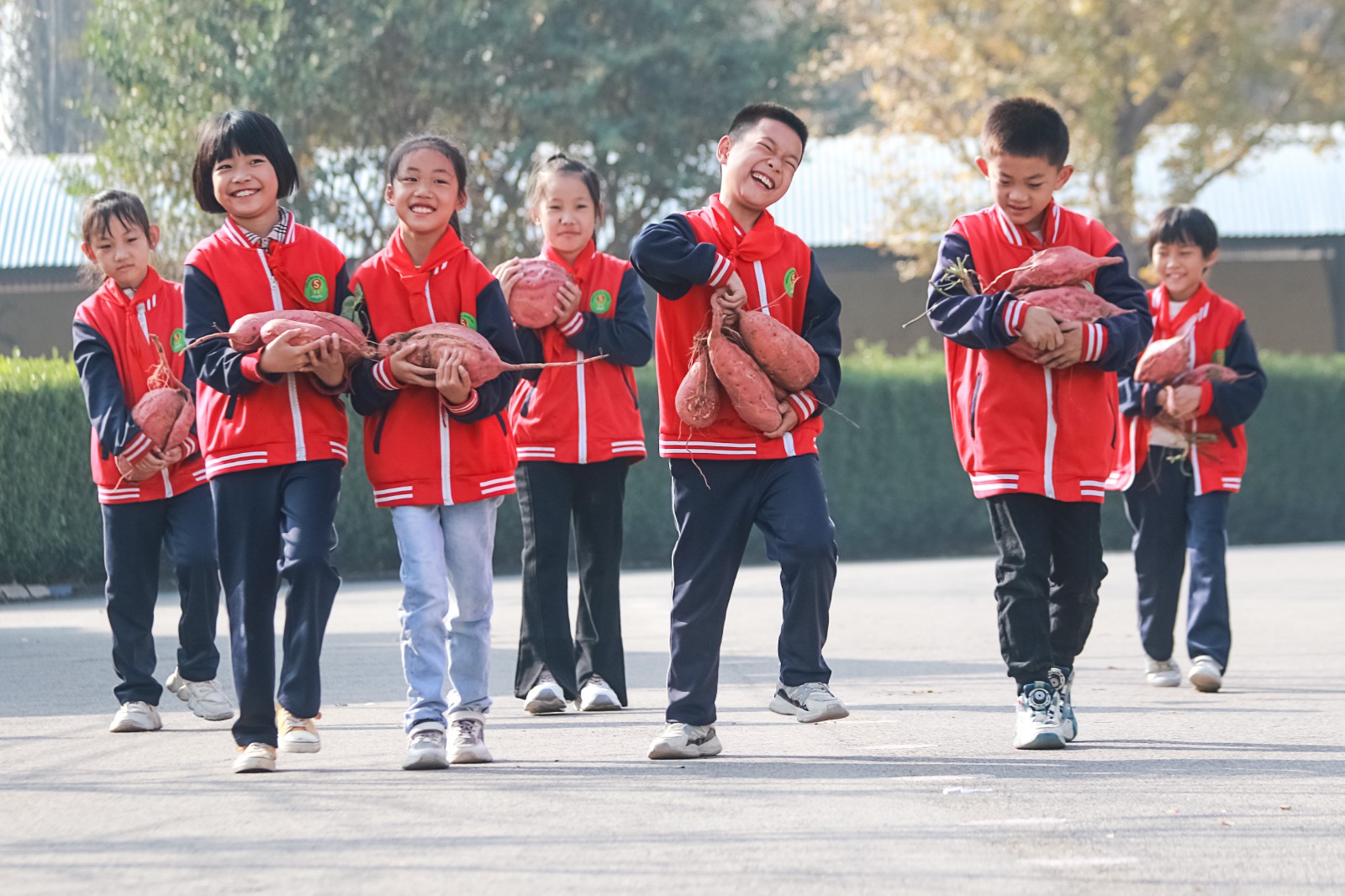 1-2023年10月25日，在山东省高密市井沟镇实验小学，孩子们在展示校园农场里收获的地瓜。（李海涛