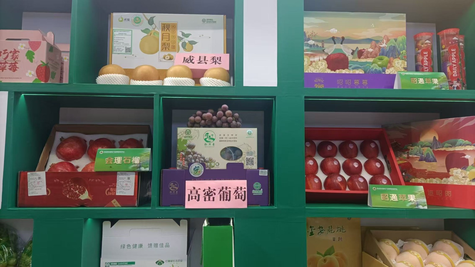 高密葡萄